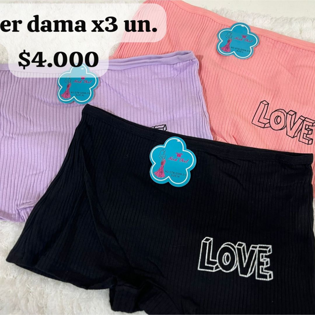 docena-de-boxer-dama-757